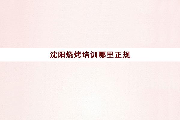 沈阳烧烤培训哪里正规(正规学小吃培训学校)