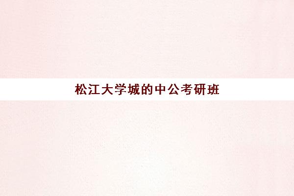 松江大学城的中公考研班(上海考研培训机构排名前十)