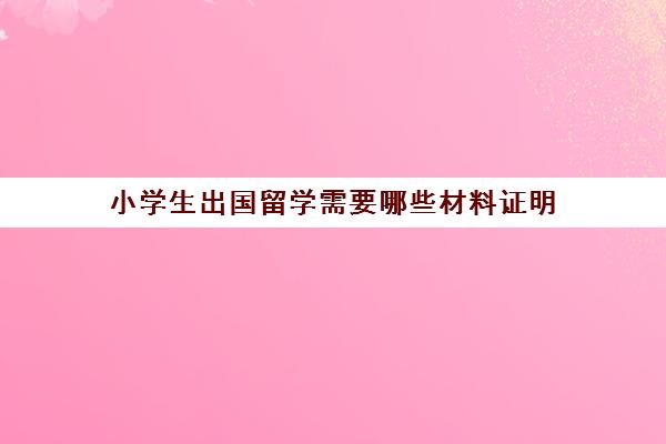 小学生出国留学需要哪些材料证明(小学毕业可以出国留学吗)