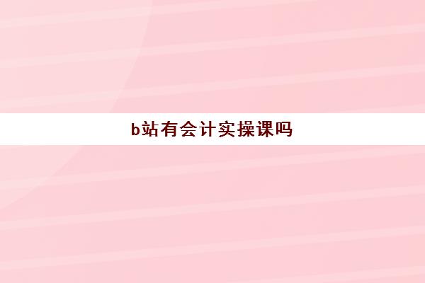 b站有会计实操课吗(哔哩哔哩课程怎么样)