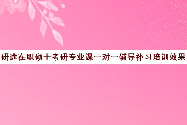 研途在职硕士考研专业课一对一辅导补习培训效果如何？靠谱吗