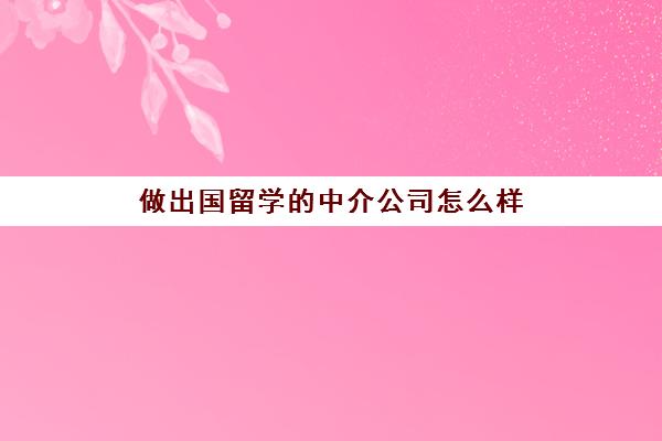 做出国留学的中介公司怎么样(留学中介工作值得做吗)