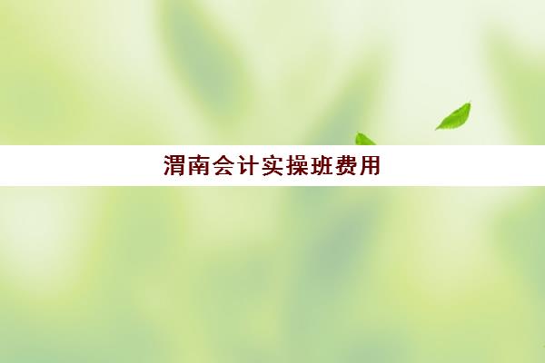 渭南会计实操班费用(初会培训班多少钱)