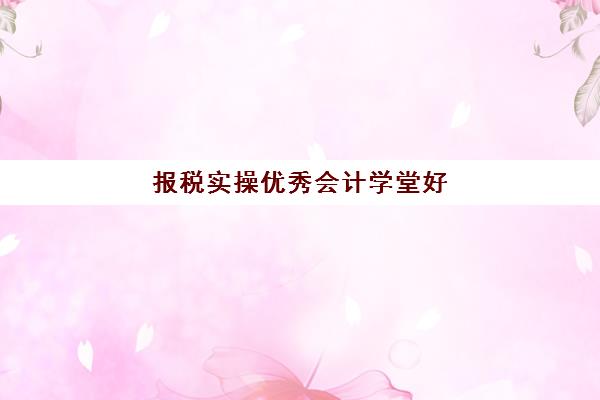 报税实操优秀会计学堂好(会计如何报税)