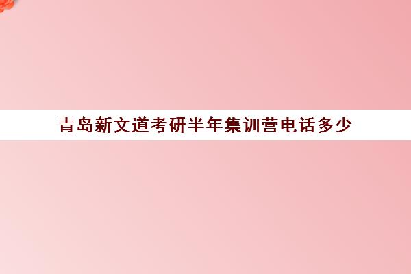 青岛新文道考研半年集训营电话多少（武汉新文道考研集训营）