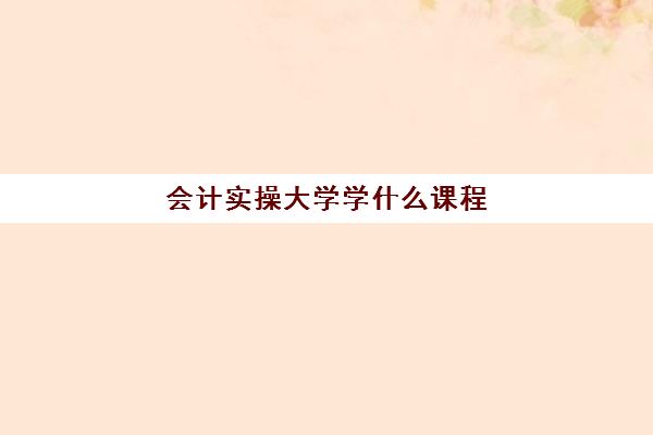 会计实操大学学什么课程(会计实务培训有用吗)