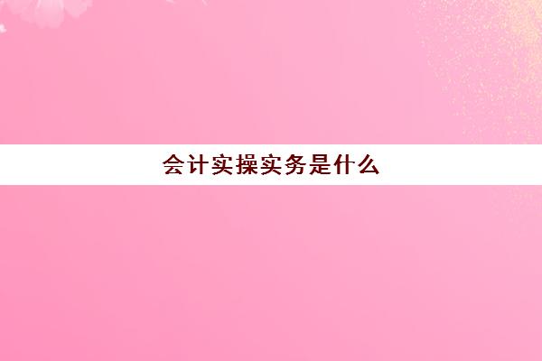 会计实操实务是什么(会计实务)