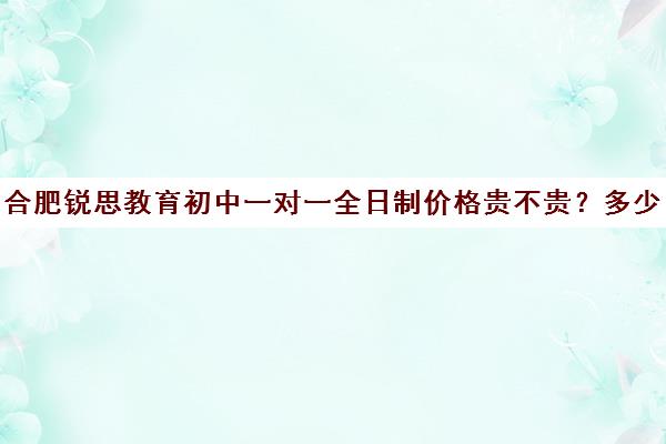 合肥锐思教育初中一对一全日制价格贵不贵？多少钱一年（合肥一对一初中数学课时费）