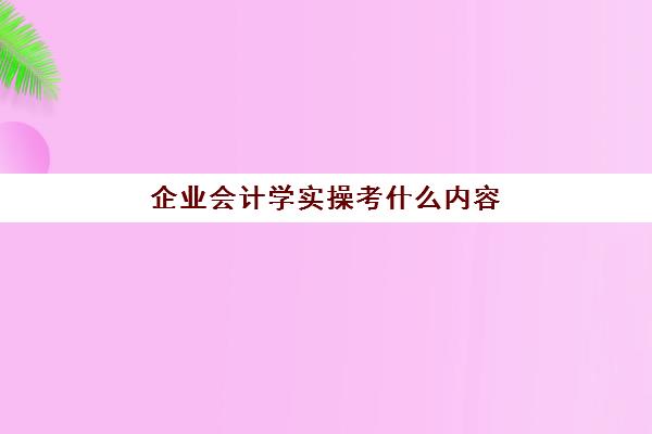 企业会计学实操考什么内容(会计专业基础知识)