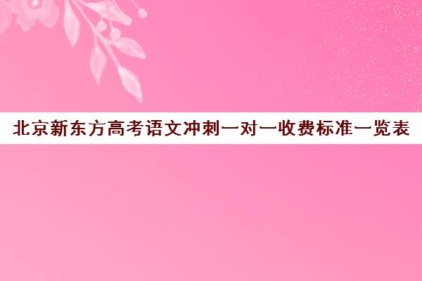 北京新东方高考语文冲刺一对一收费标准一览表（新东方补课价目表）