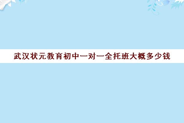 武汉状元教育初中一对一全托班大概多少钱(武汉初中一对一价格)