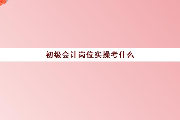 初级会计岗位实操考什么(会计初级考试都考什么)