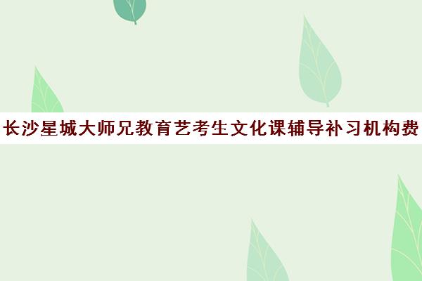 长沙星城大师兄教育艺考生文化课辅导补习机构费用标准价格表