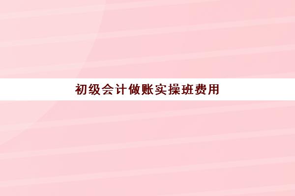 初级会计做账实操班费用(请会计做账需要多少钱)