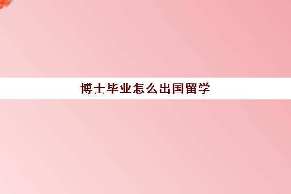 博士毕业怎么出国留学(申请海外博士流程)