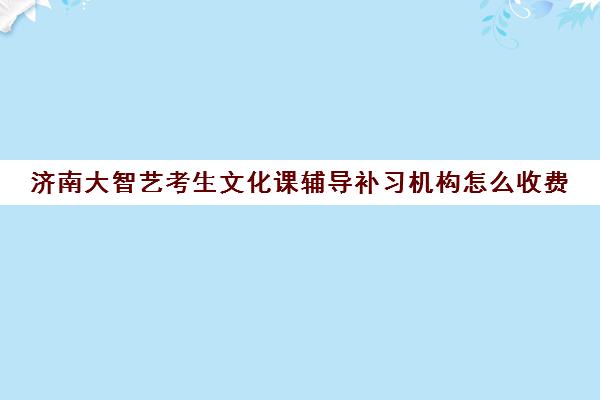 济南大智艺考生文化课辅导补习机构怎么收费