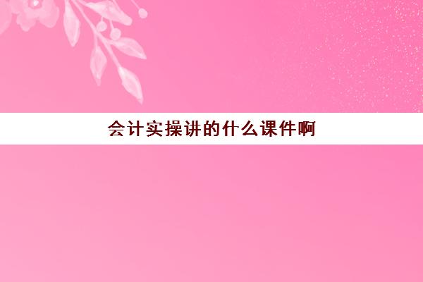 会计实操讲的什么课件啊(会计课件免费讲解)