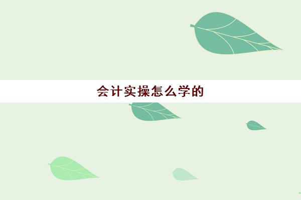 会计实操怎么学的(初学者怎样学会计)