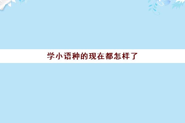 学小语种的现在都怎样了(小语种哪个最容易学)