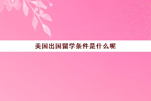 美国出国留学条件是什么呢(哪些学校不能去美国留学)