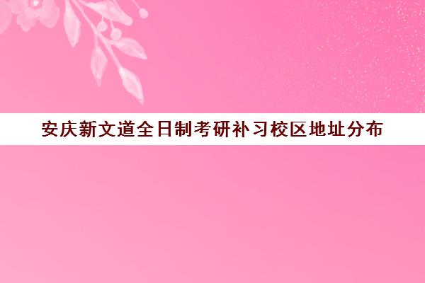 安庆新文道全日制考研补习校区地址分布