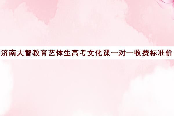 济南大智教育艺体生高考文化课一对一收费标准价格一览（济南艺考生文化课培训学校排名