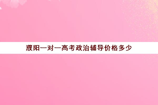 濮阳一对一高考政治辅导价格多少(高考一对一辅导多少钱一小时)