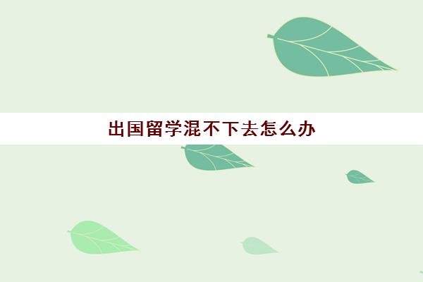 出国留学混不下去怎么办(留学行业越来越难做)