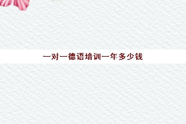 一对一德语培训一年多少钱(德语培训班多少钱一个月)