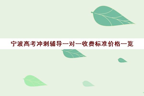 宁波高考冲刺辅导一对一收费标准价格一览(宁波大学生家教一对一价格)