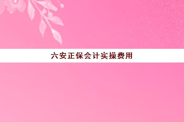 六安正保会计实操费用(正保会计网校官网入口)