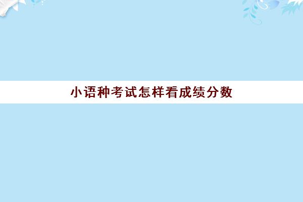 小语种考试怎样看成绩分数(小语种四六级考试)