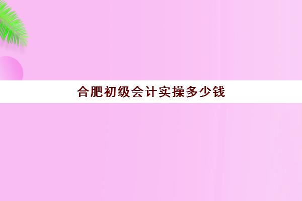 合肥初级会计实操多少钱(安徽初级报名费多少钱)