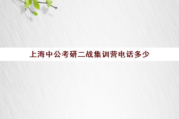 上海中公考研二战集训营电话多少（上海公务员面试培训班哪个机构好）