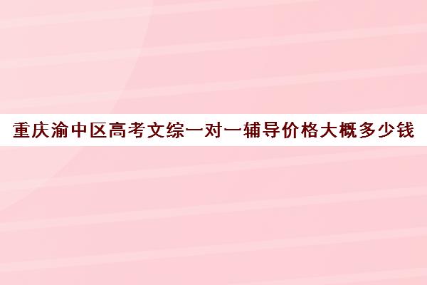 重庆渝中区高考文综一对一辅导价格大概多少钱(高三一对一文综辅导)