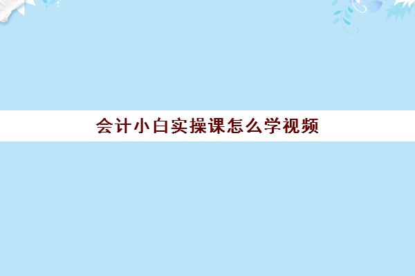 会计小白实操课怎么学视频(会计小白怎么快速上手)