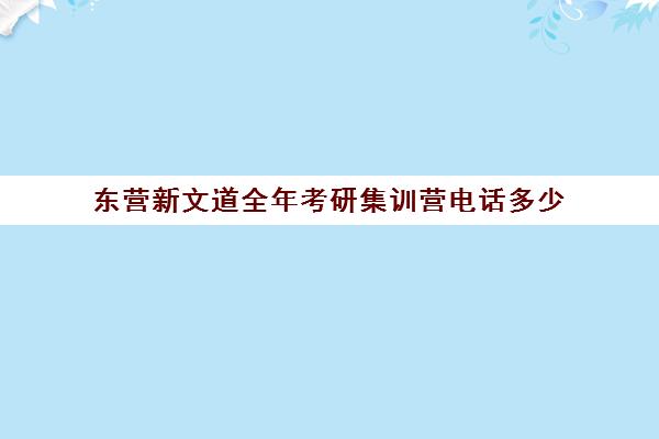 东营新文道全年考研集训营电话多少（新文道考研机构怎么样）