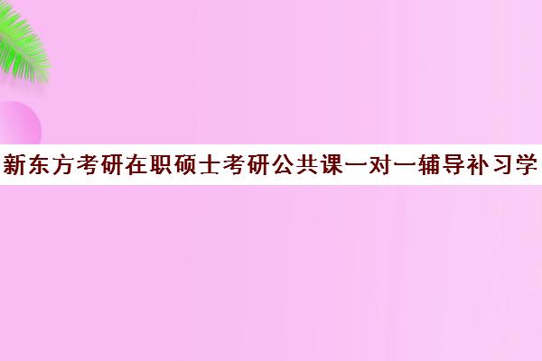 新东方考研在职硕士考研公共课一对一辅导补习学费价格表