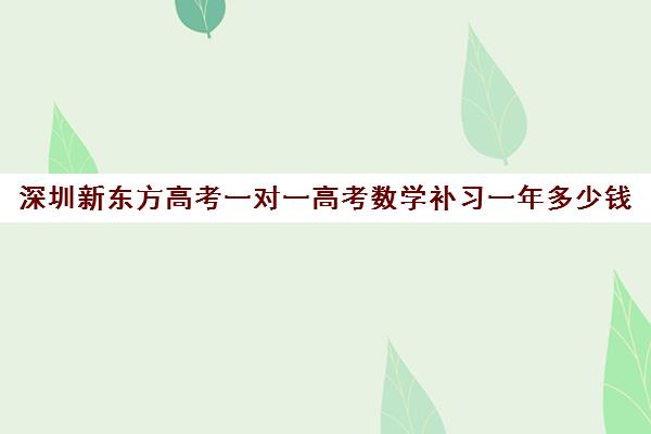 深圳新东方高考一对一高考数学补习一年多少钱