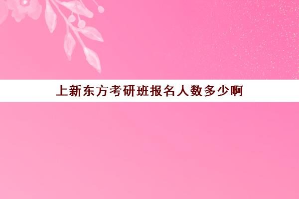 上新东方考研班报名人数多少啊(新东方考研班收费价格表)