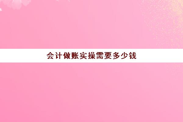 会计做账实操需要多少钱(请会计做账一般多少钱)