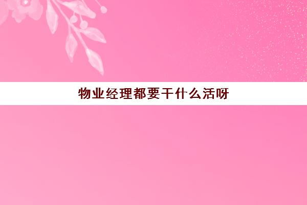 物业经理都要干什么活呀(小区物业女干什么活)