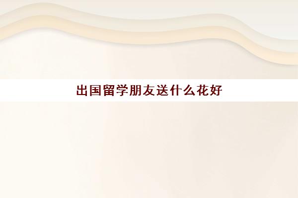 出国留学朋友送什么花好(朋友从国外回来送什么花)