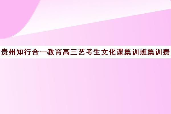 贵州知行合一教育高三艺考生文化课集训班集训费用多少钱(艺考集训一般多少钱)