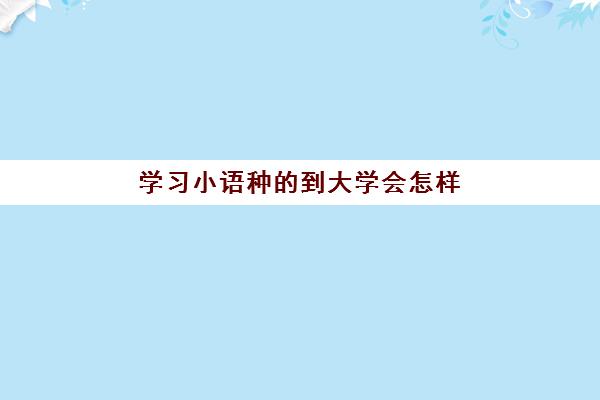 学习小语种的到大学会怎样