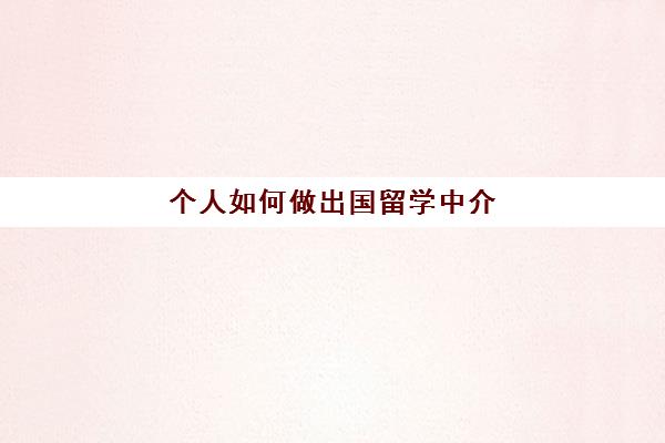 个人如何做出国留学中介(留学中介挣钱吗)