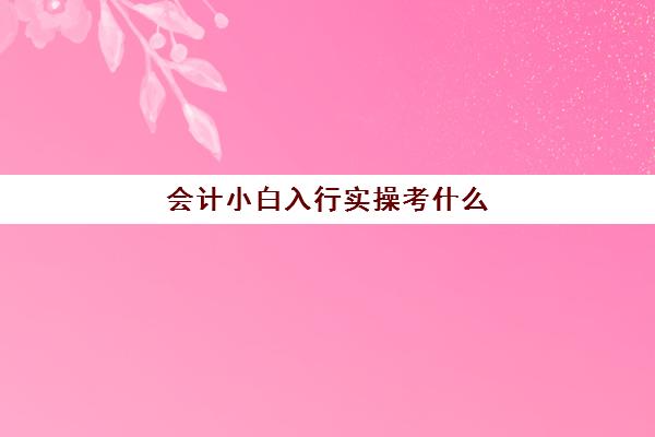 会计小白入行实操考什么(学会计做账)