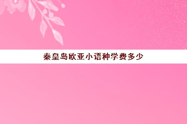 秦皇岛欧亚小语种学费多少(学一个小语种多少钱)