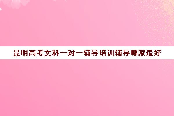 昆明高考文科一对一辅导培训辅导哪家最好(昆明一对一辅导价格表)