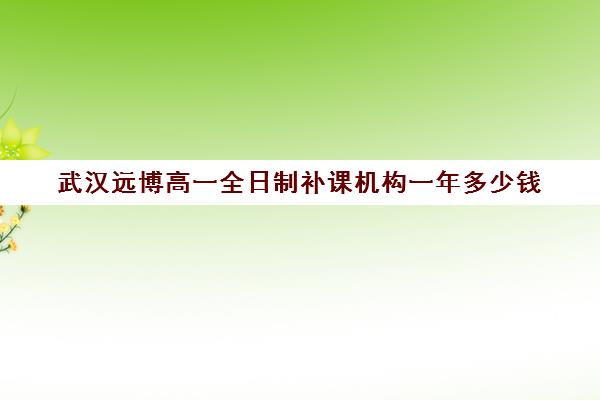 武汉远博高一全日制补课机构一年多少钱(武汉一对一补课价格)